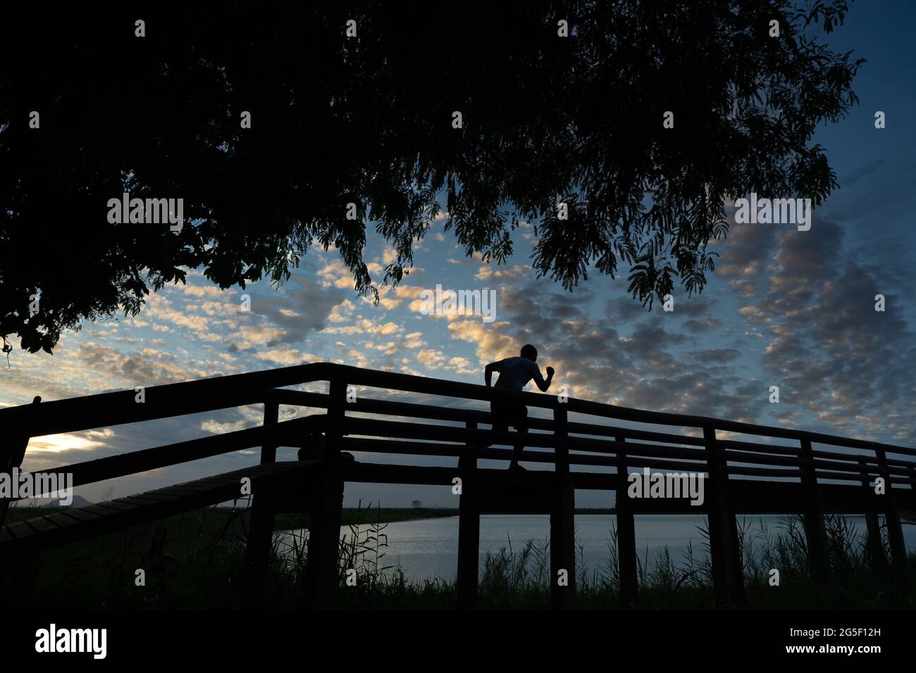 Silhouette di un uomo che fa jogging sul ponte con alberi e nuvole sparse sullo sfondo Foto Stock