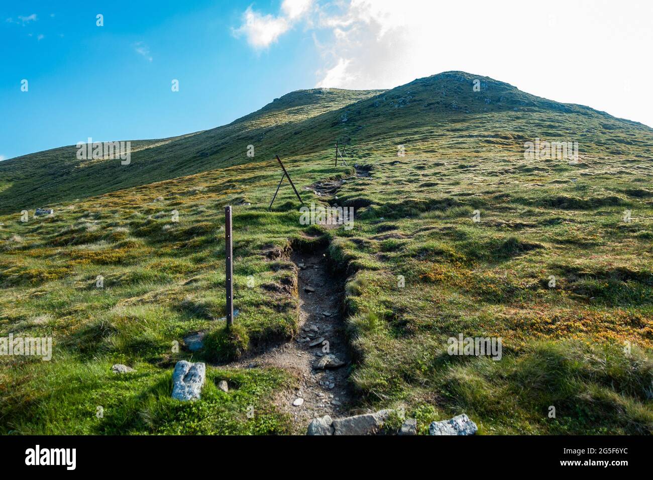 I vecchi pali di recinzione mostrano il percorso fino alla montagna munro di Meall Corranaich, parte della gamma ben Lawers in Scozia Foto Stock