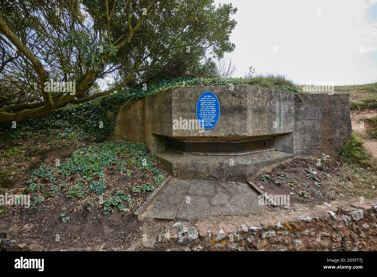 Una scatola a colonne sulla scogliera, parte delle difese costiere della seconda guerra mondiale conservate a Sidmouth, nel Devon orientale, nell'Inghilterra sud-occidentale sul South West Coast Path Foto Stock
