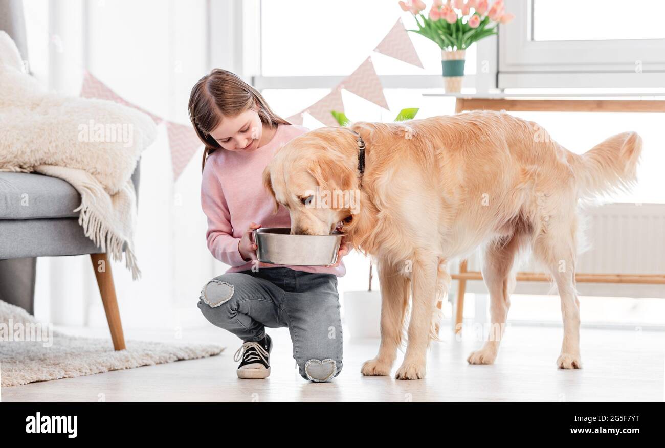 La bambina alimenta il cane Golden Retriever Foto Stock