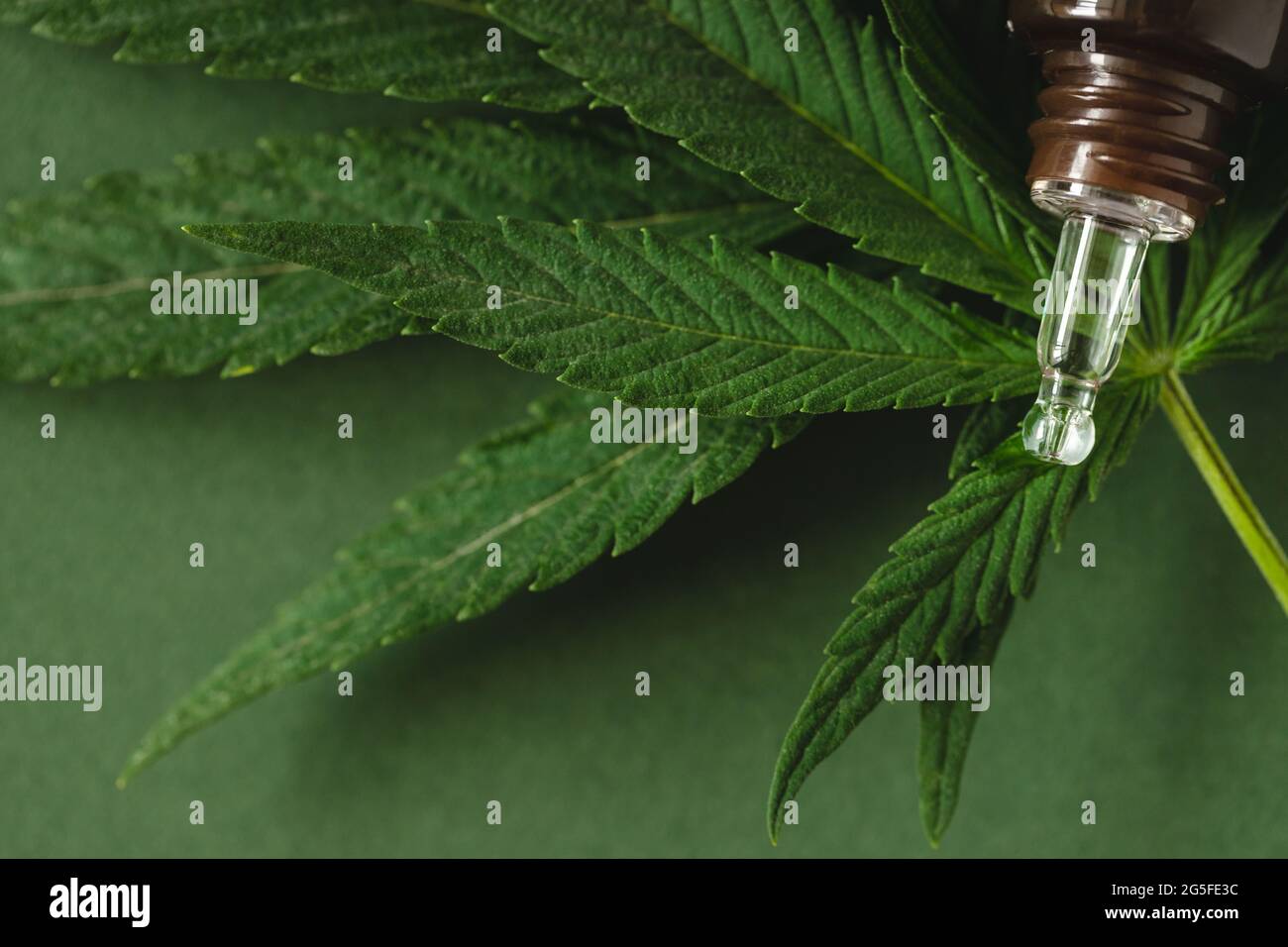 Estratto di cannabis sulla cannabis lascia sfondo verde. Foto Stock