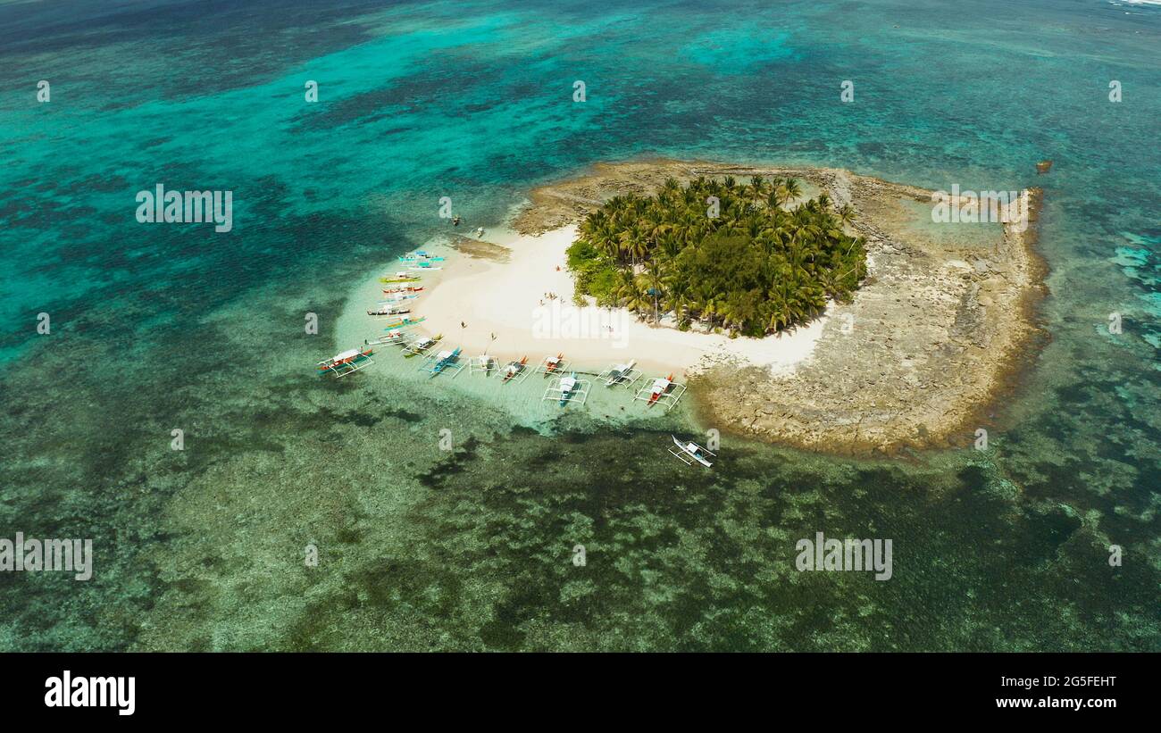 Isola tropicale nell'oceano con palme sulla spiaggia di sabbia bianca. Isola Guyam, Filippine, Siargao. Estate viaggi e concetto di vacanza Foto Stock