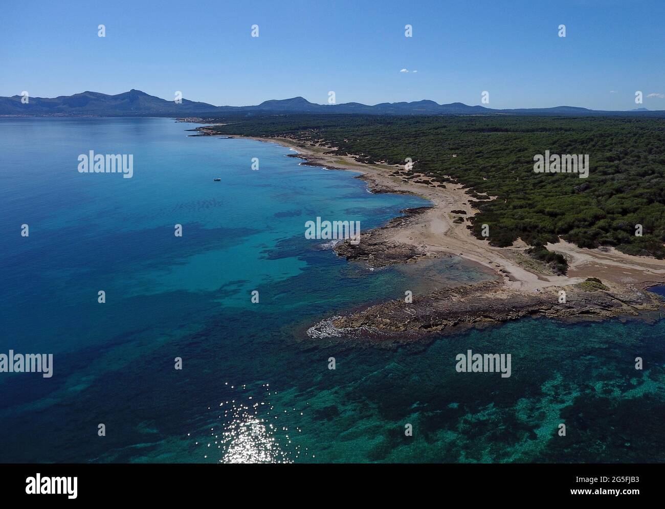 Baia di Alcudia, Maiorca, Isole Baleari Foto Stock