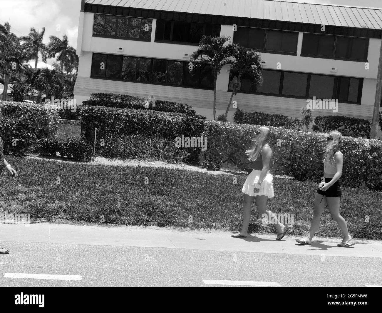 22 giugno 2021, SARASOTA, FLORIDA, USA: Quando i regimi dittatoriali arrivano al potere, le persone altamente istruite che non condividono la loro ideologia sono spesso tra i primi gruppi che silenziano. I leader repubblicani in Florida sembrano avere un inizio testa solo su tale oppressione, con una nuova legge statale che richiede a tutti i college pubblici e alle università di esaminare studenti, facoltà e personale sulle loro convinzioni politiche. La legge, che Gov. Ron DeSantis ha firmato la scorsa settimana, inoltre, stabilisce che gli studenti universitari siano mostrati idee e opinioni diverse, tra cui quelle con cui potrebbero non essere d'accordo o trovare a disagio. Foto Stock