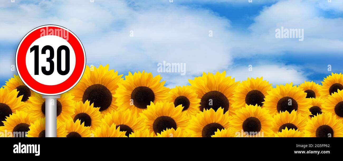 Girasoli e segnale del traffico limite di velocità 130 Foto Stock