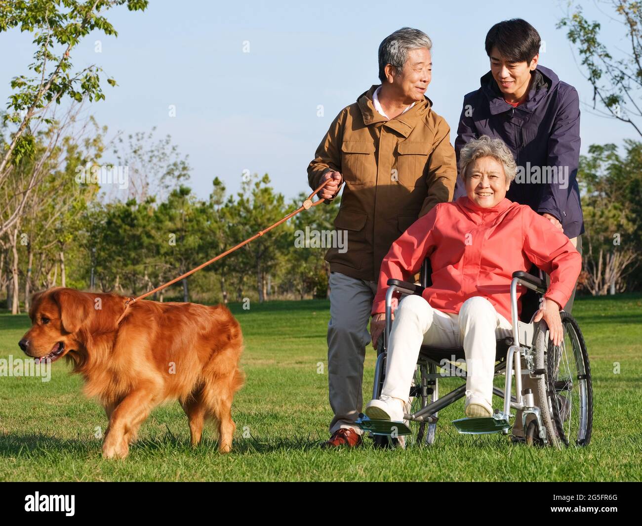 Felice famiglia di tre e cane animale domestico a piedi nel parco foto di alta qualità Foto Stock
