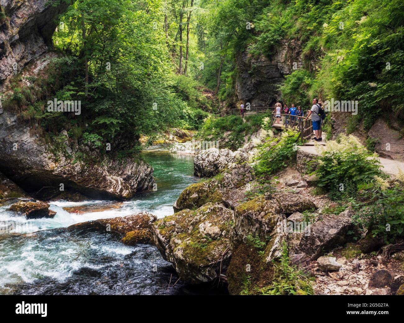 Il fiume Radovna che attraversa la gola di Vintgar vicino a Bled, alta Carniola, Slovenia. La gola si trova nel Parco Nazionale del Triglav. I visitatori camminano Foto Stock