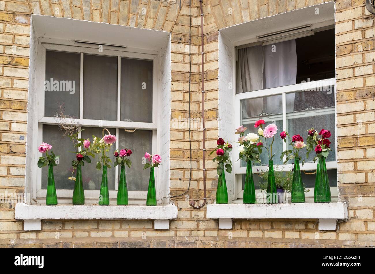 Bottiglie verdi contenenti fiori all'esterno di due finestre di una casa inglese Foto Stock