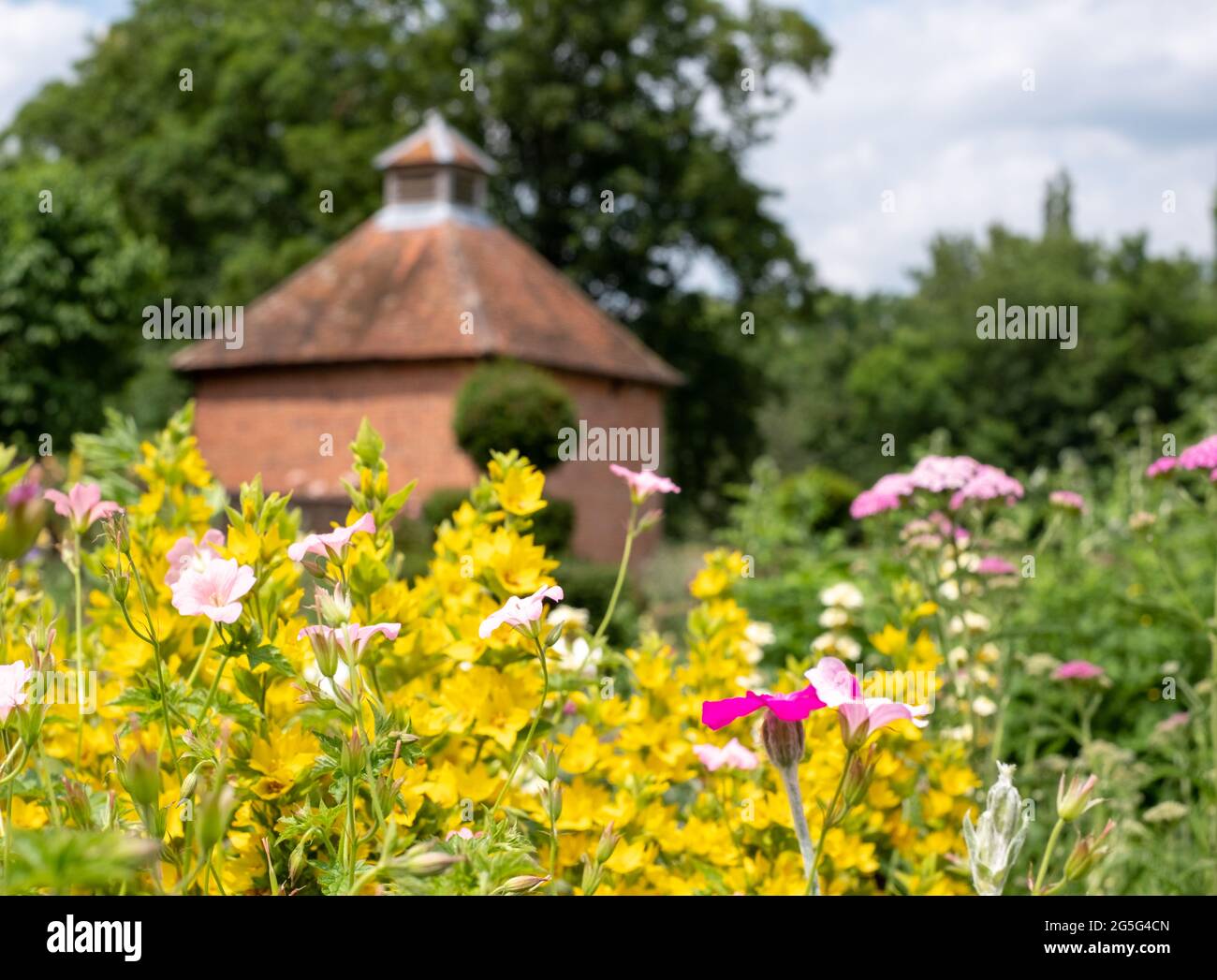 Colorati fiori estivi fotografati alla fine di giugno a Eastcote House Gardens, storico giardino murato comunale a Pinner, Londra Regno Unito. Foto Stock