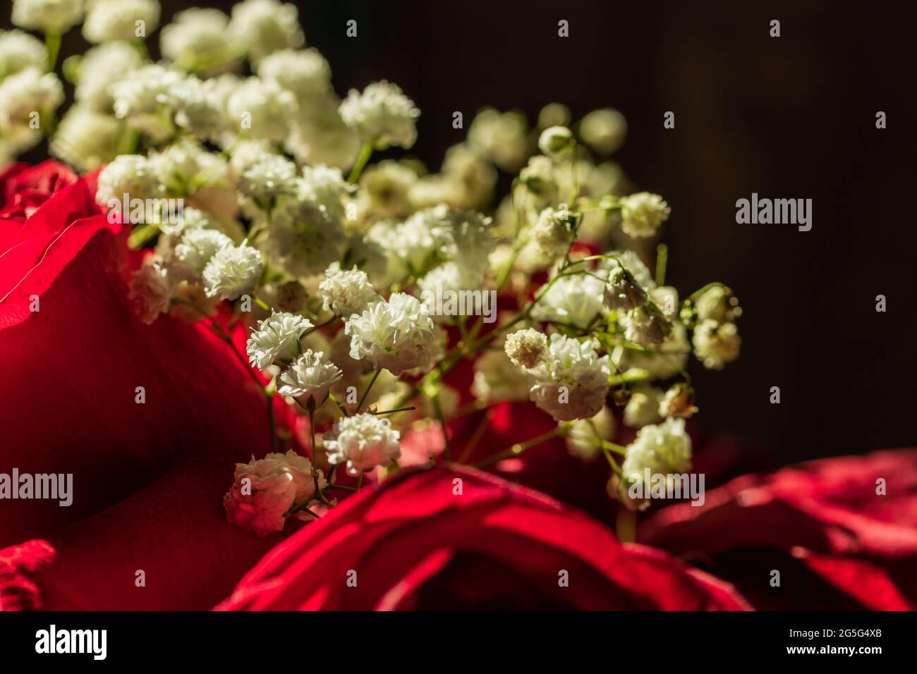 Parte del bouquet, composto da rose e idrangee. La foto è stata scattata a Chelyabinsk, Russia. Foto Stock