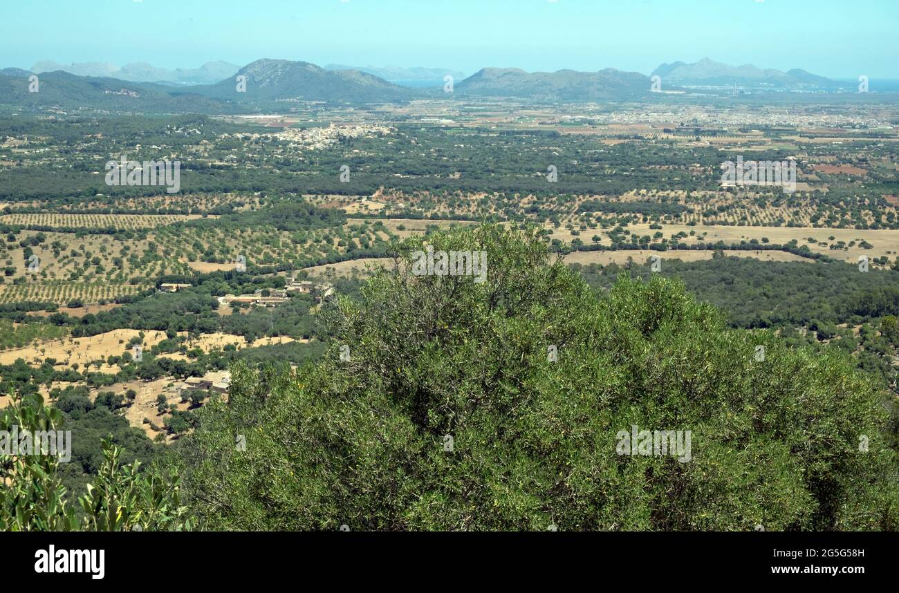 Puig de Santa Magdalena, Maiorca, Isole Baleari Foto Stock