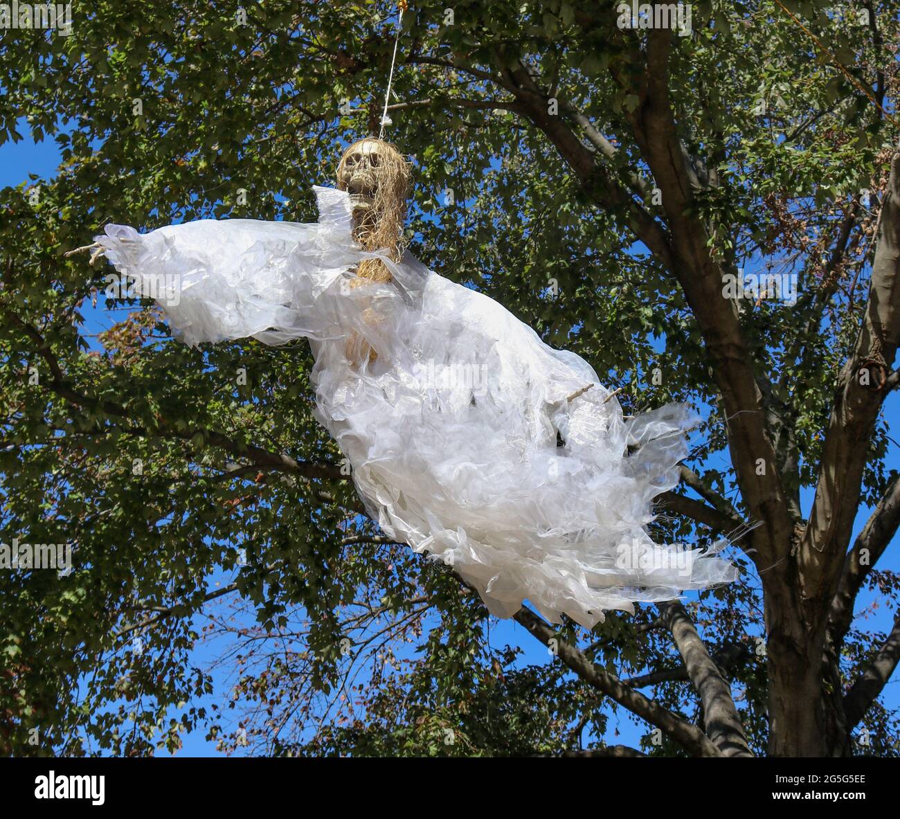 Scheletro di ragazza spaventosa - fantasma appeso da albero - fluttering nel vento Foto Stock