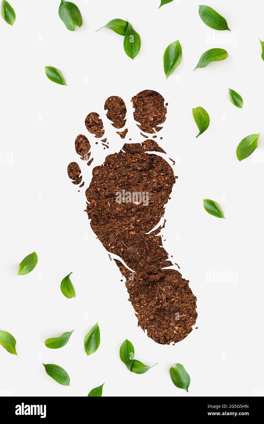 Piedi di stampe Foto Stock