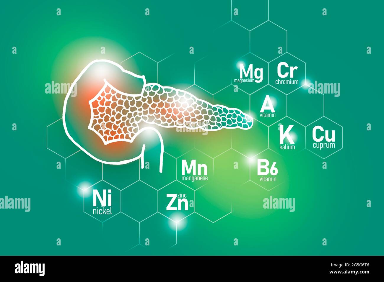 Nutrienti essenziali per la salute del pancreas compreso nichel, cromo, Cuprum, manganese. Design set di organi umani su sfondo verde chiaro. Foto Stock