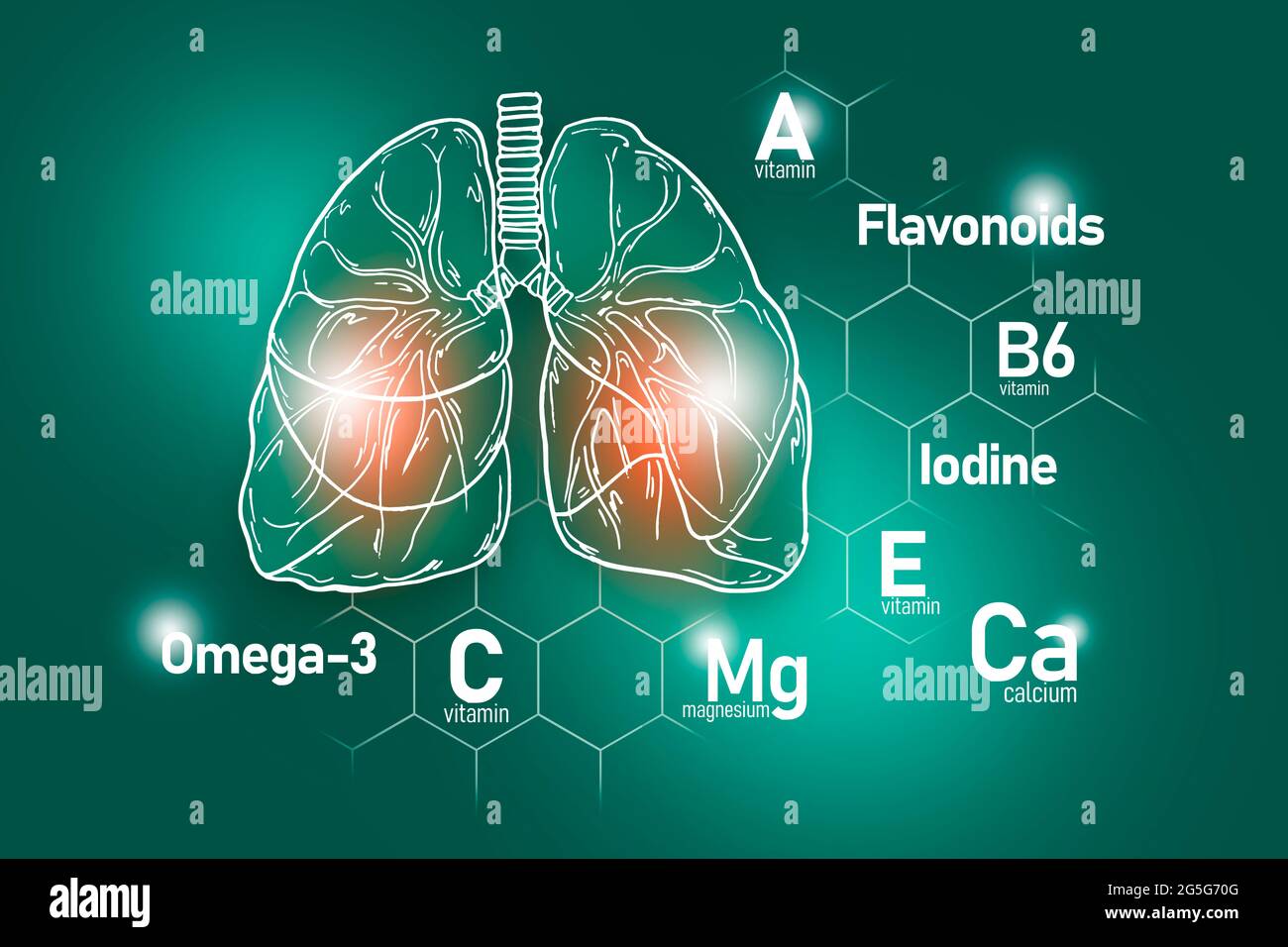 Nutrienti essenziali per la salute dei polmoni, tra cui Omega-3,  flavonoidi, magnesio, iodio. Insieme di disegno dei principali organi umani  con le vitamine Foto stock - Alamy