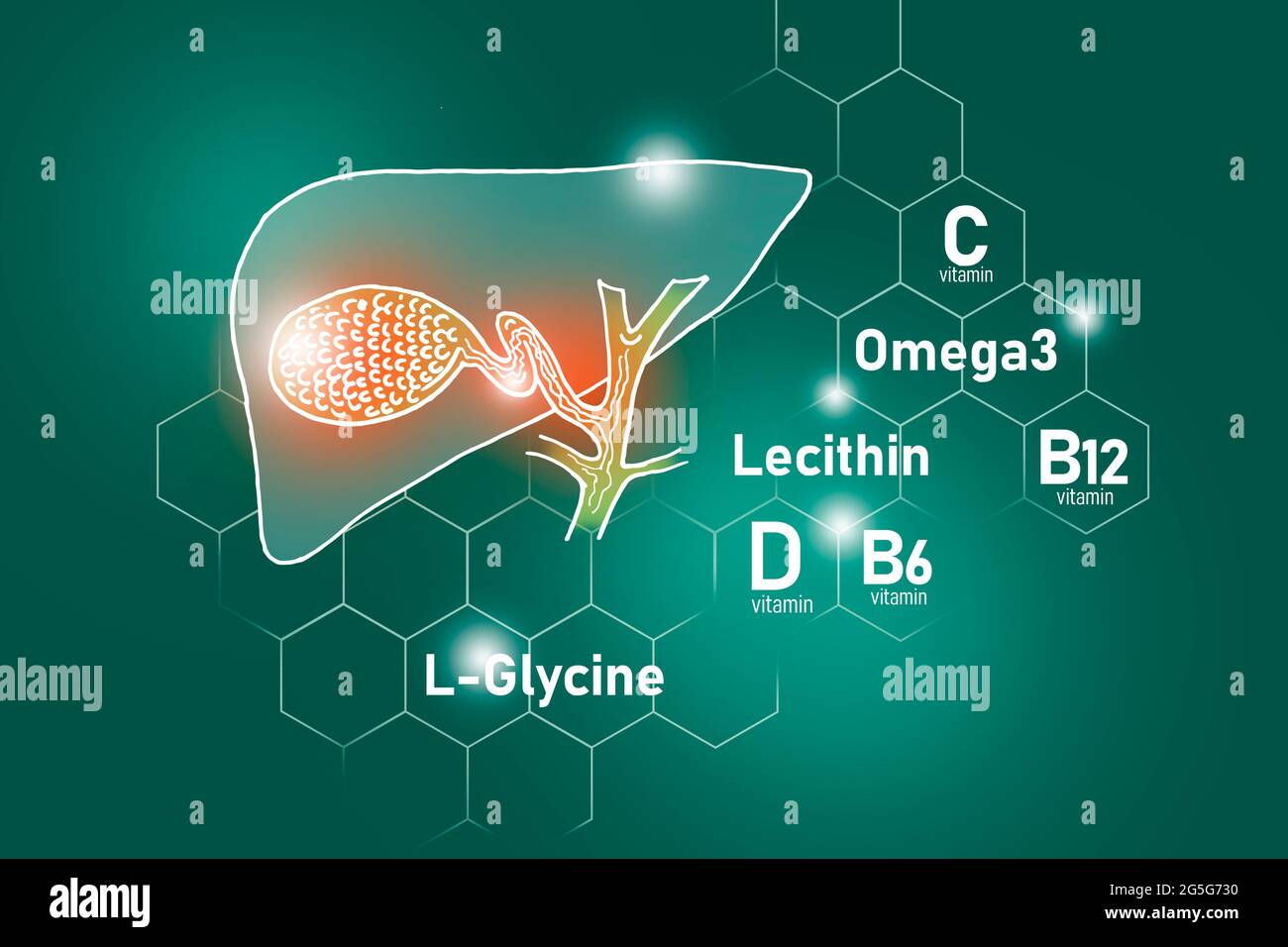 Nutrienti essenziali per la salute della vescica di gallina, tra cui Omega 3, L-glicina, Omega3, lecitina su fondo verde profondo. Foto Stock