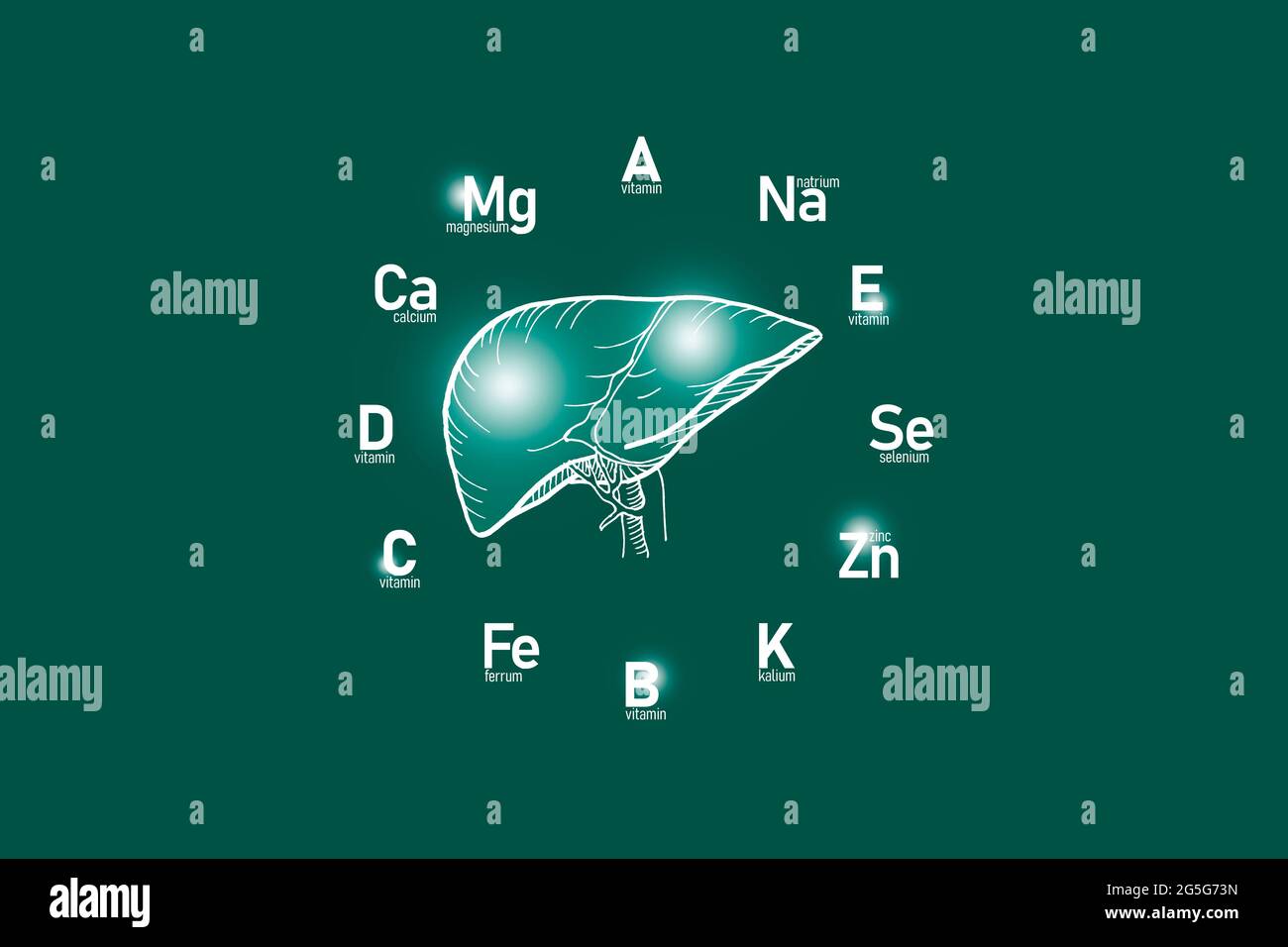 Clockface stilizzato con vitamine essenziali e microelementi per la salute umana, fegato disegnato a mano, fondo verde profondo. Foto Stock