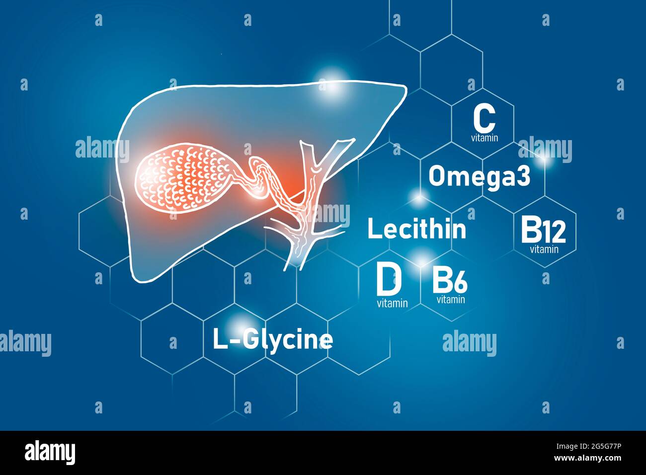 Nutrienti essenziali per la salute della vescica di gallina, tra cui Omega 3, L-glicina, Omega3, lecitina. Set di design dei principali organi umani con vitamine su blu Foto Stock