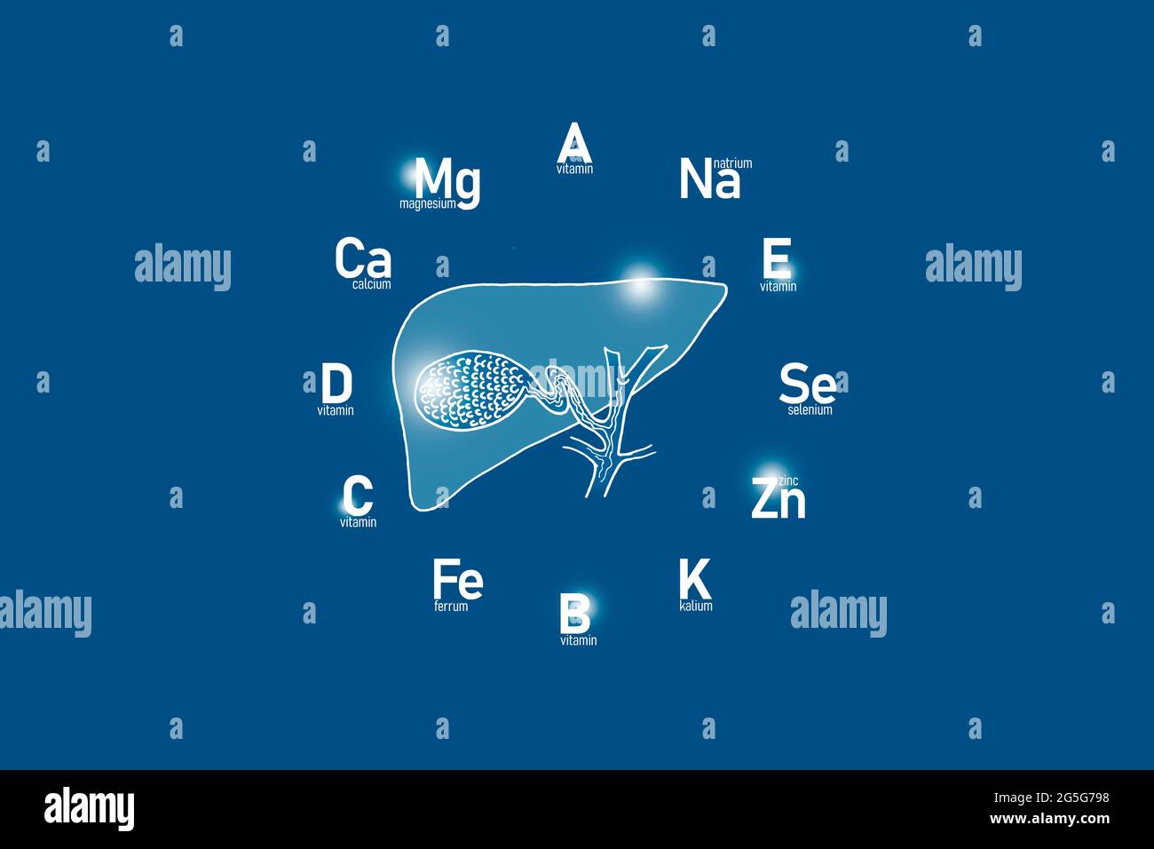 Clockface stilizzato con vitamine essenziali e microelementi per la salute umana, vescica di galline disegnata a mano, sfondo blu scuro. Foto Stock