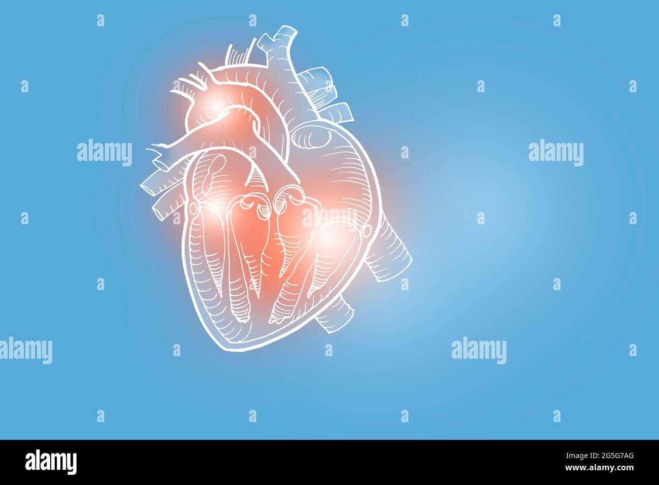 Illustrazione Handrawn del cuore umano su sfondo azzurro. Set medico-scientifico con i principali organi umani con spazio di copia vuoto per il testo Foto Stock