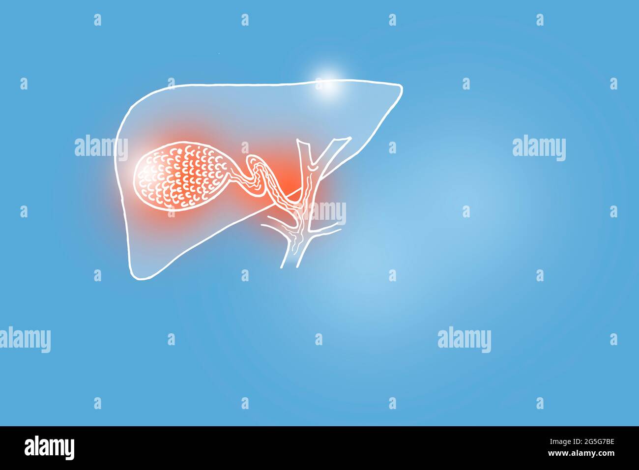 Illustrazione Handrawn della vescica di gallina umana su sfondo azzurro. Set medico-scientifico con i principali organi umani con spazio di copia vuoto per il testo Foto Stock