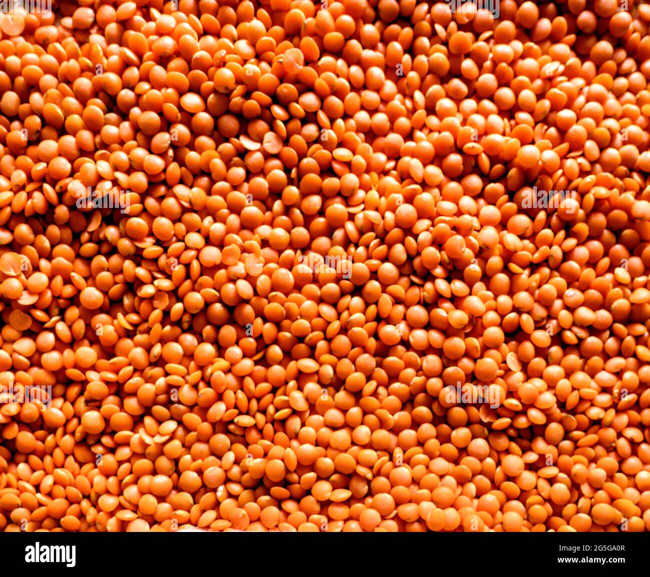 Lenticchie rosse Foto Stock Lenticchie rosse Foto Stock