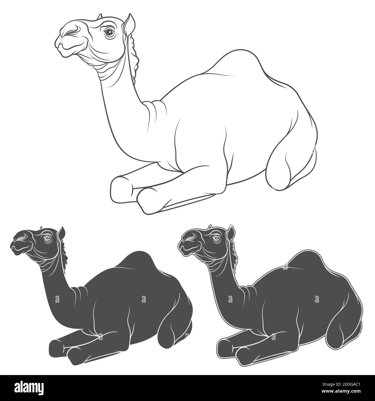 Set di immagini in bianco e nero di un cammello. Oggetti vettoriali isolati su sfondo bianco. Illustrazione Vettoriale
