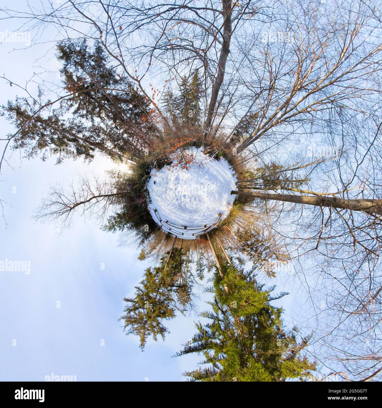 Piccolo pianeta nella foresta con cielo blu Foto Stock