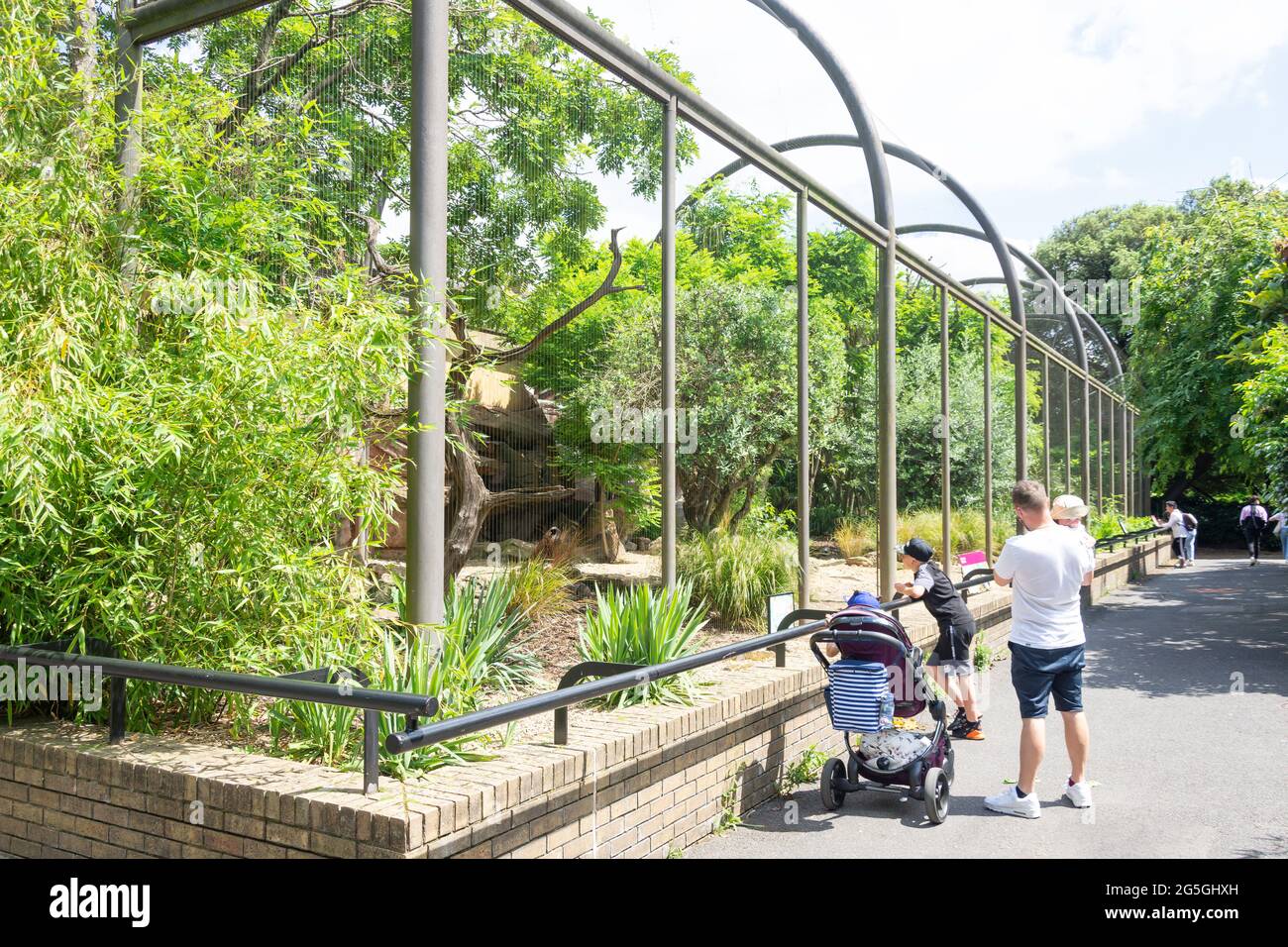 Voliera degli uccelli allo ZSL London Zoo, Regent's Park, City of Westminster, Greater London, England, Regno Unito Foto Stock