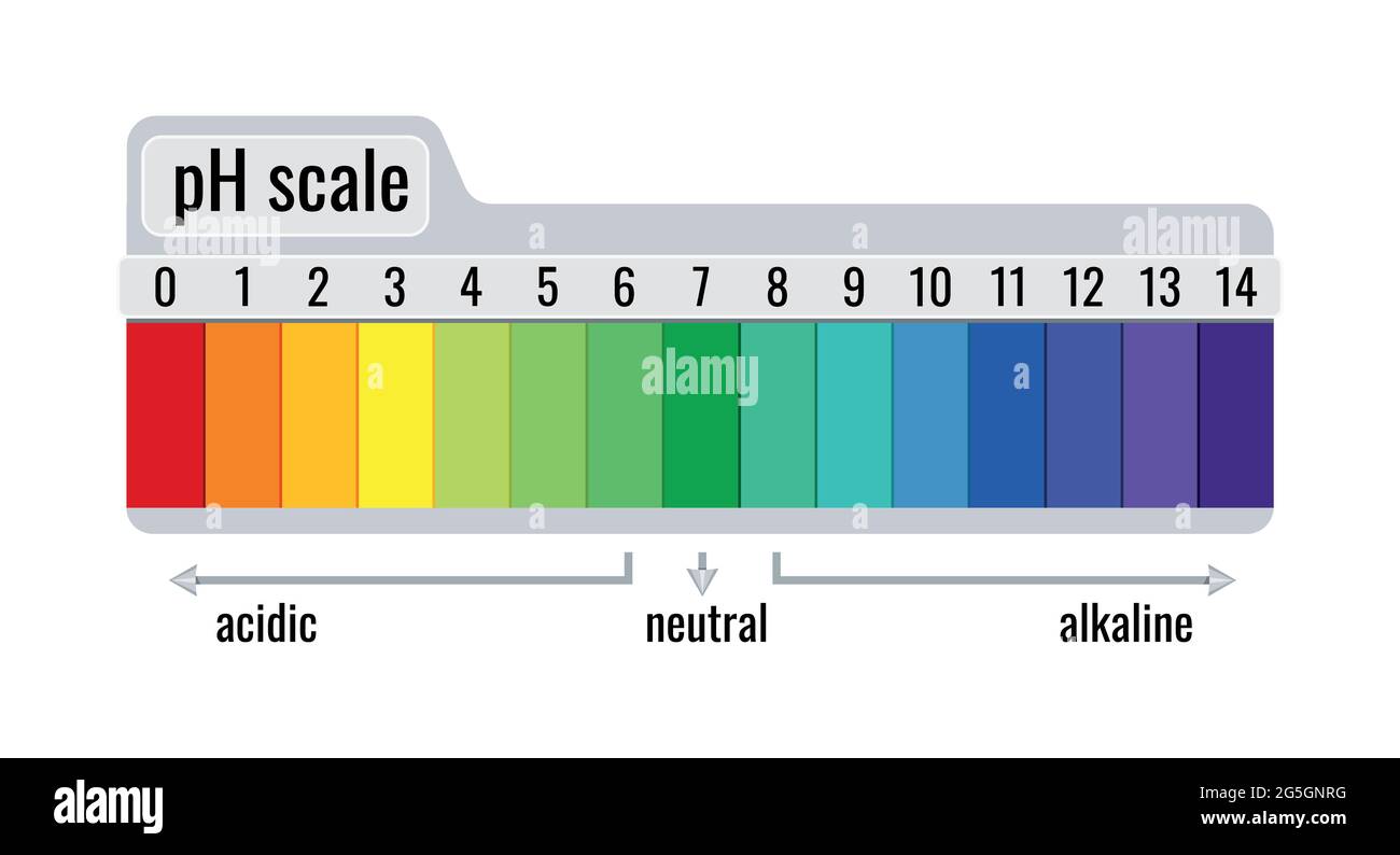 Scala graduata del pH per soluzioni acide e alcaline isolate su sfondo bianco. Illustrazione Vettoriale