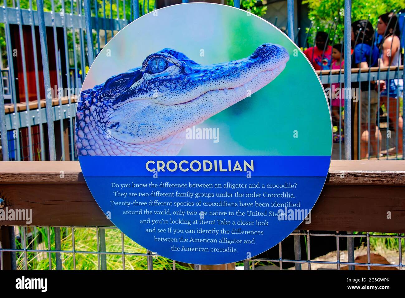 Un cartello fornisce informazioni sul coccodrillo americano al Mississippi Aquarium, 24 giugno 2021, a Gulfport, Mississippi. Foto Stock