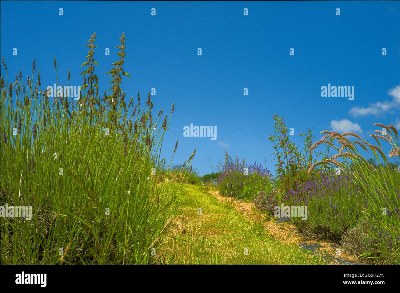 Paesaggi con una serie di viste diverse Foto Stock Paesaggi con una serie di viste diverse Foto Stock