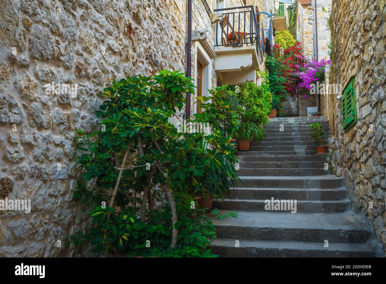 Splendida strada vecchia stretta con piante ornamentali verdi. Rustica  strada medievale con fiori colorati, la città di Hvar, isola di Hvar,  Dalmazia, la Croazia Foto stock - Alamy