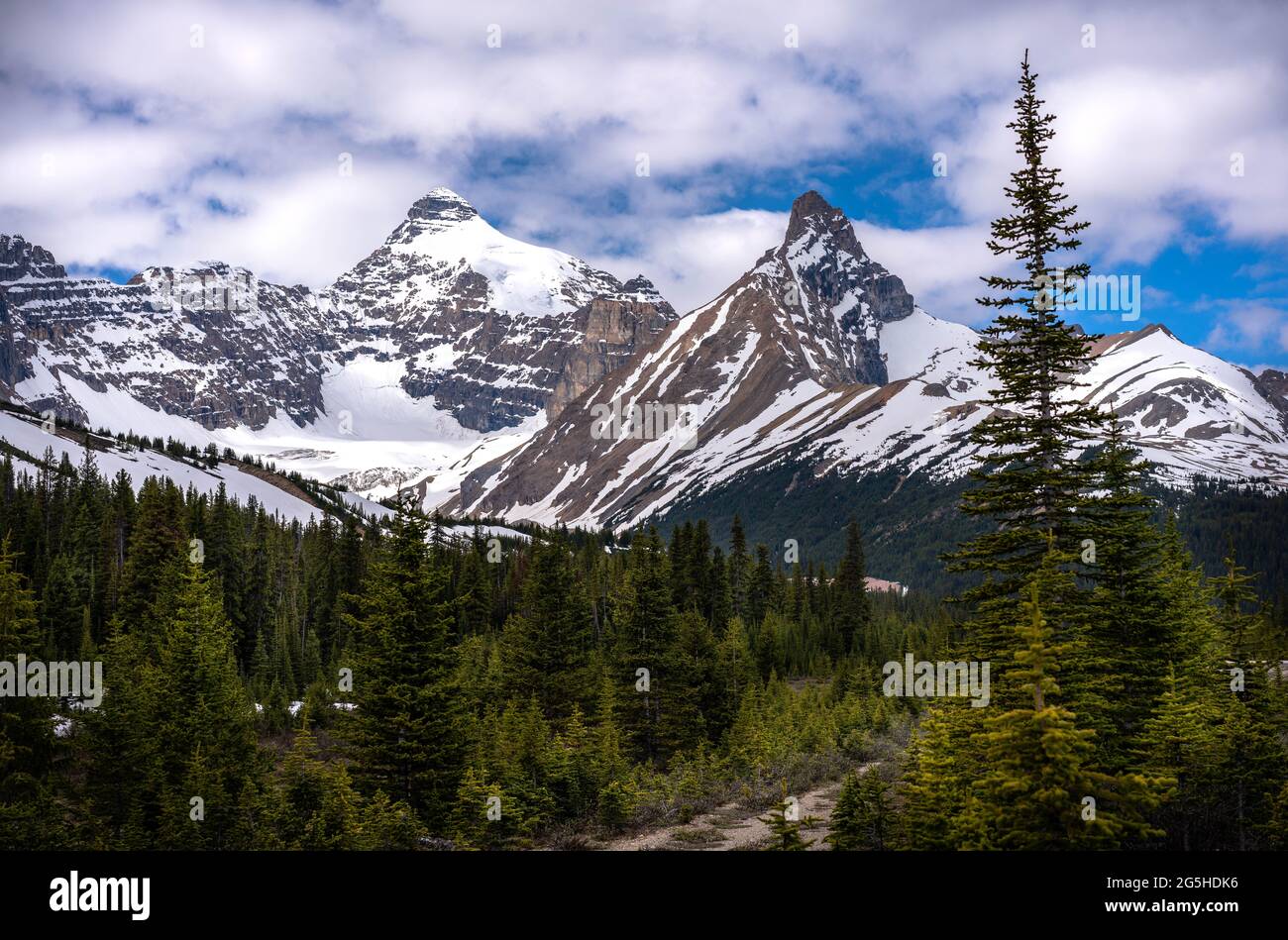Spettacolare catena montuosa innevata con foresta in primo piano e nuvole nel cielo blu Foto Stock