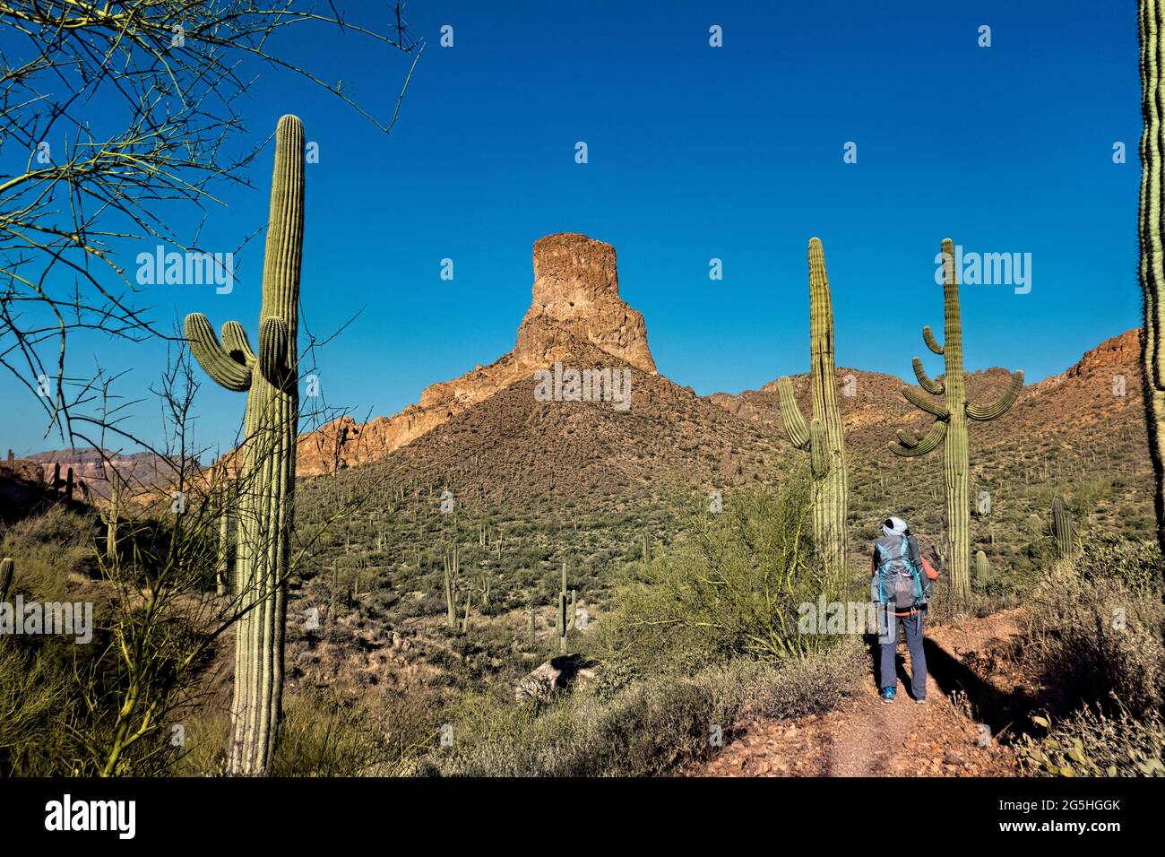 Escursioni attraverso le Superstition Mountains sull'Arizona Trail, Arizona, U.S.A Foto Stock