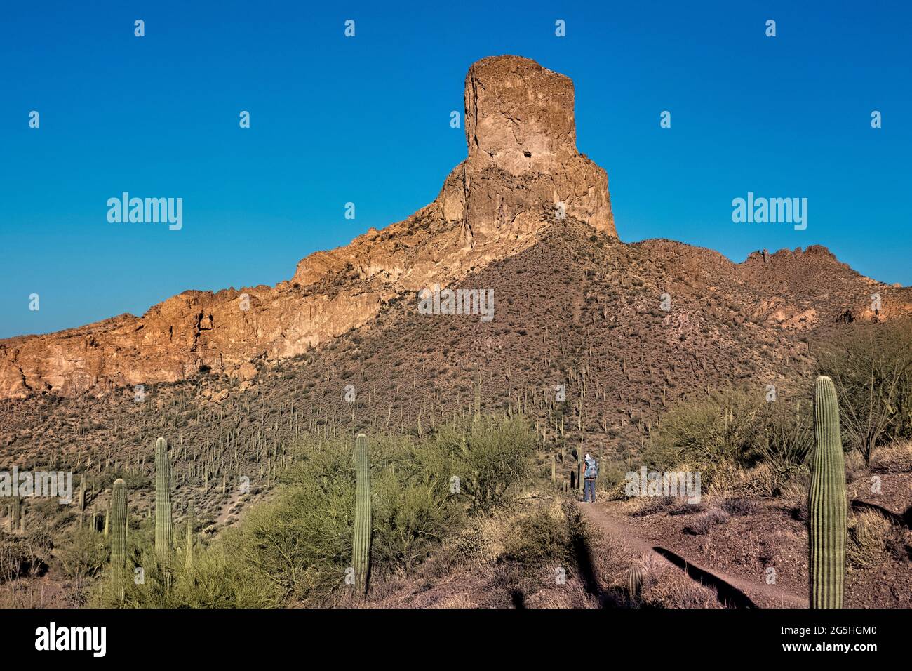 Escursioni attraverso le Superstition Mountains sull'Arizona Trail, Arizona, U.S.A Foto Stock