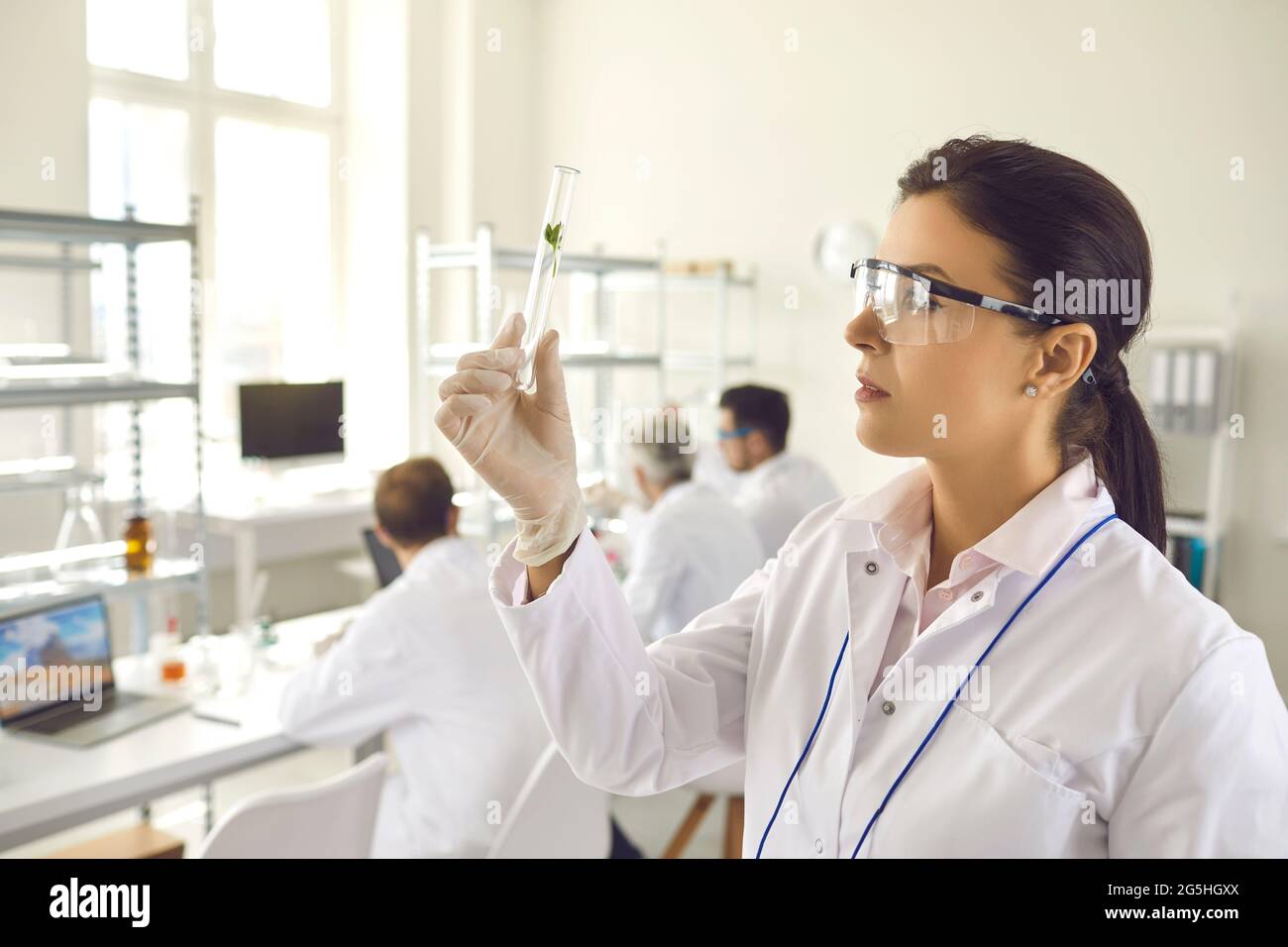 Scienziato in laboratorio di cosmetologia guardando foglia verde all'interno del tubo di vetro in mano Foto Stock