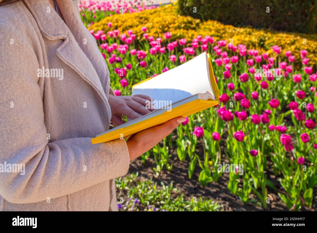 Le mani di una donna tengono un libro coperto di giallo contro uno sfondo sfocato di fiori in un letto di fiori. Foto Stock