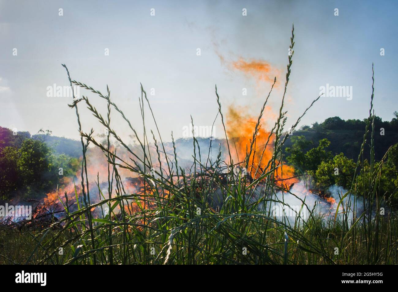 Illustrativa, fuoco selvatico, fuoco forestale, 16 giugno 2021. (Foto CTK/Libor Sojka) Foto Stock