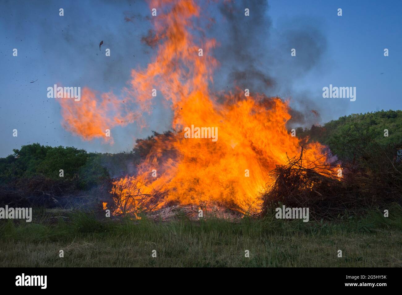 Illustrativa, fuoco selvatico, fuoco forestale, 16 giugno 2021. (Foto CTK/Libor Sojka) Foto Stock