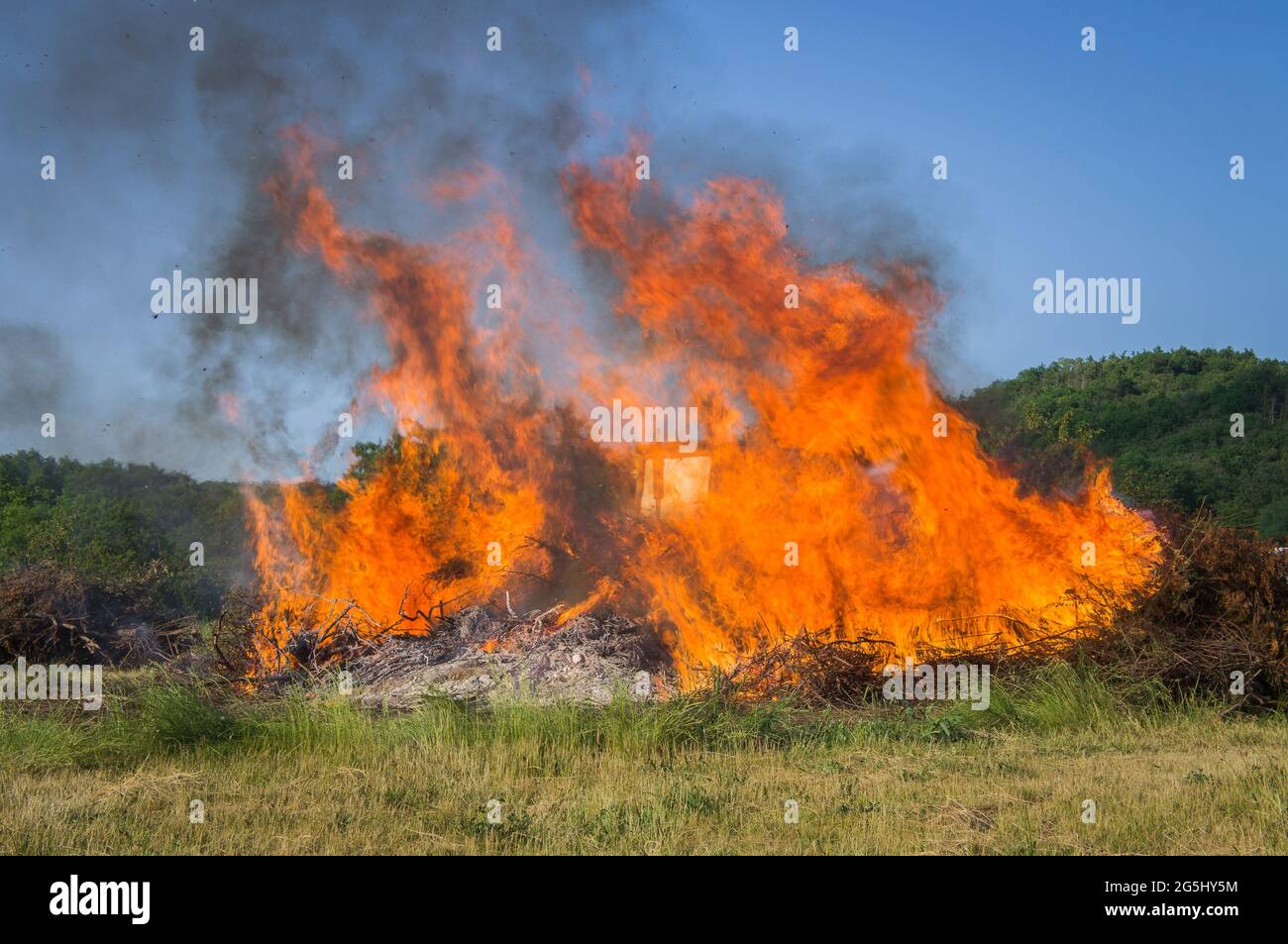 Illustrativa, fuoco selvatico, fuoco forestale, 16 giugno 2021. (Foto CTK/Libor Sojka) Foto Stock