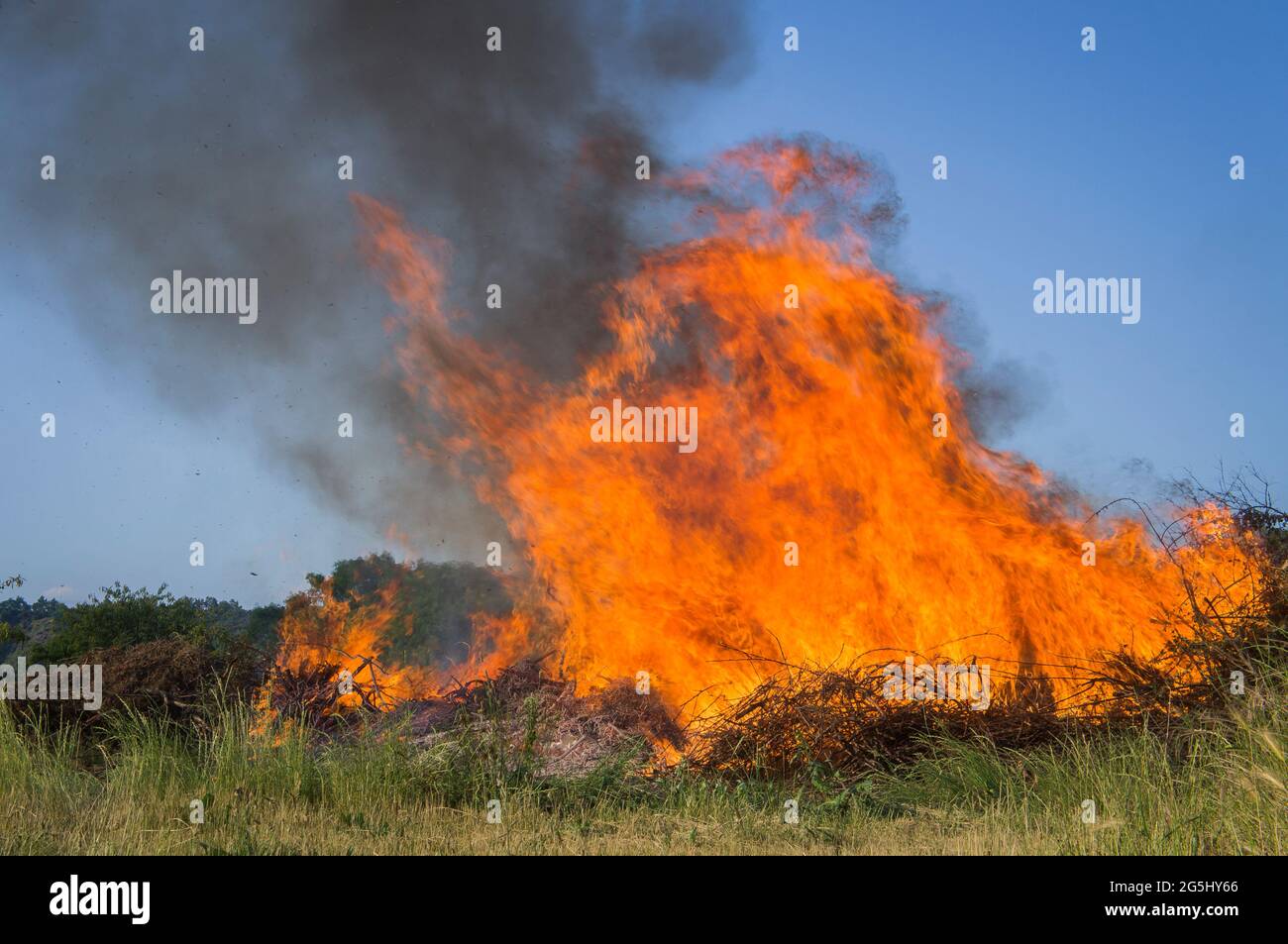 Illustrativa, fuoco selvatico, fuoco forestale, 16 giugno 2021. (Foto CTK/Libor Sojka) Foto Stock
