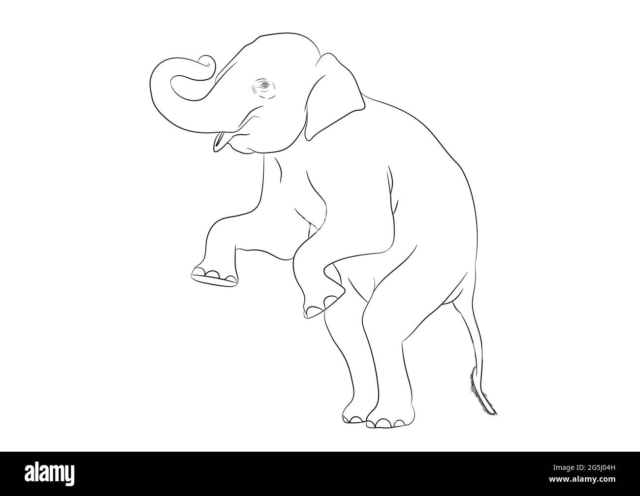 Immagine bianca contorno Elephant Asia standing, grafica disegno vettoriale contorno Illustrazione isolata su sfondo bianco Illustrazione Vettoriale