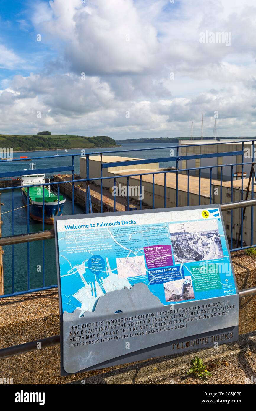 Falmouth Docks a Falmouth, Cornovaglia UK nel mese di giugno Foto Stock
