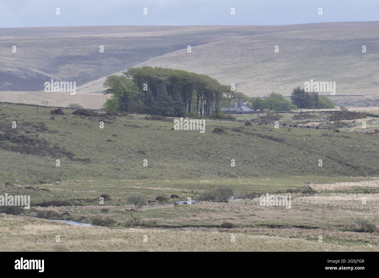 Guardando a sud-est dalla B3357 appena ad est di Two Bridges, Dartmoor National Park, Devon, Inghilterra, Regno Unito. Foto Stock