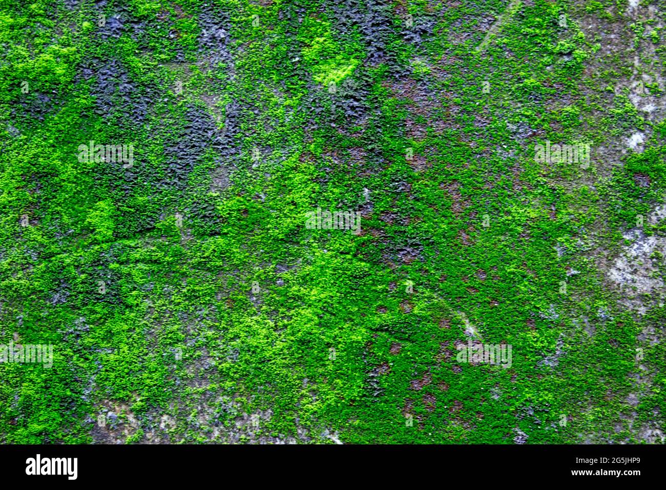 La carta da parati astratta è un romantico wallpaper design Foto Stock