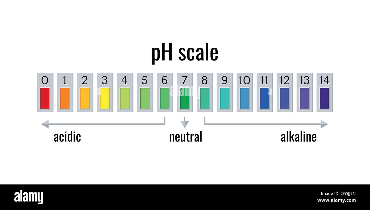 Scala graduata per pH per soluzioni acide e alcaline isolate su sfondo bianco. Illustrazione Vettoriale