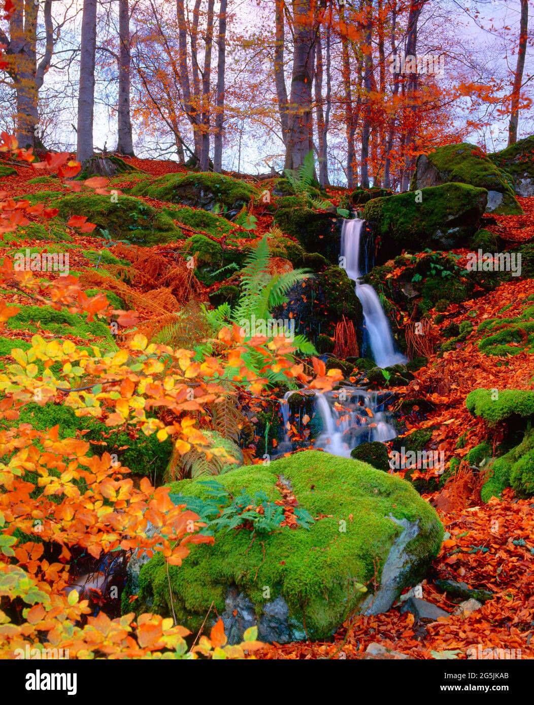 Cascata su scarpata, autunno, Scozia, Highlands, Foto Stock