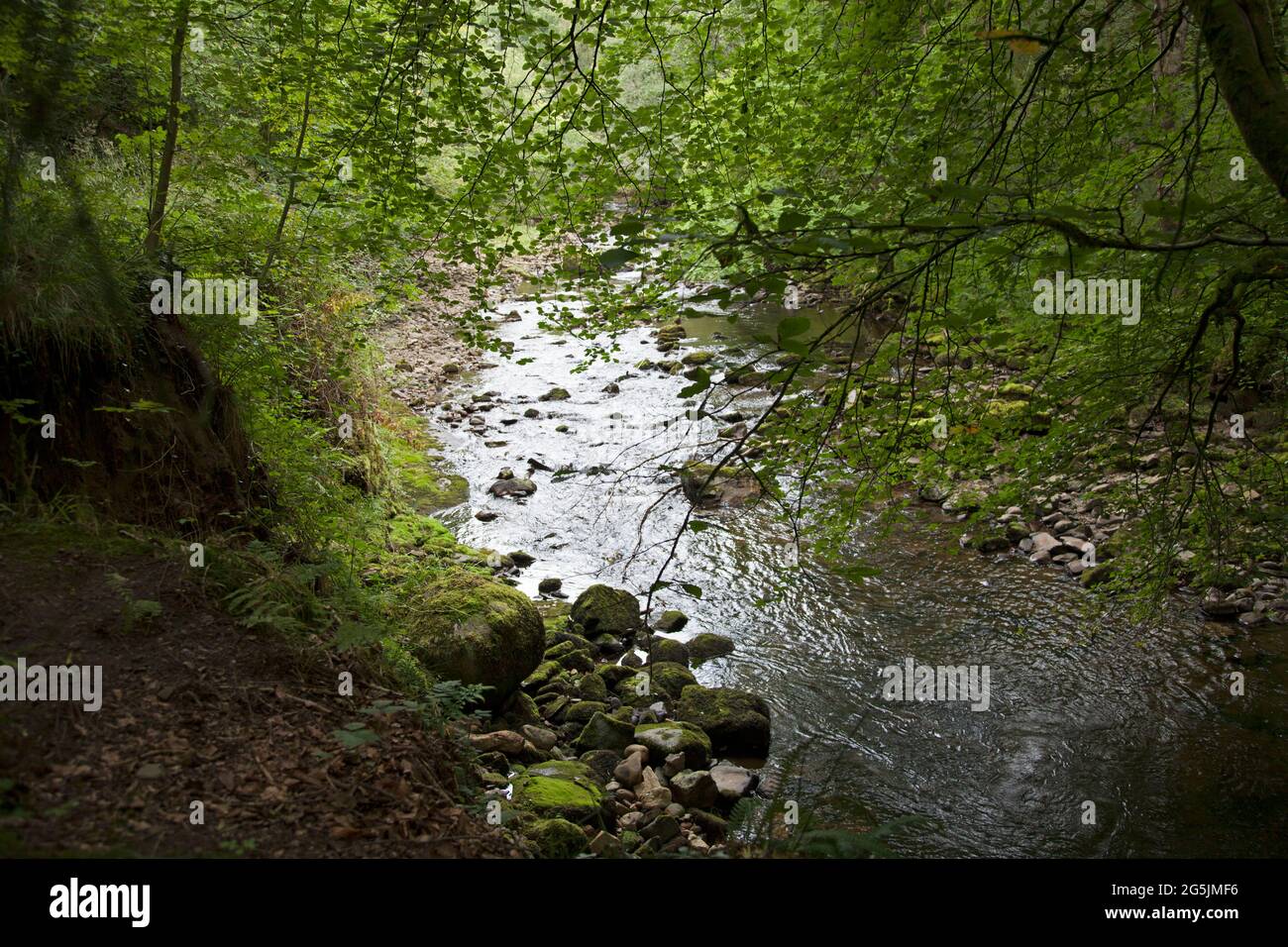 Acqua che scorre giù un ruscello, o fiume, su rocce. Silenzioso. Tranquillo. Appartato. Foto Stock