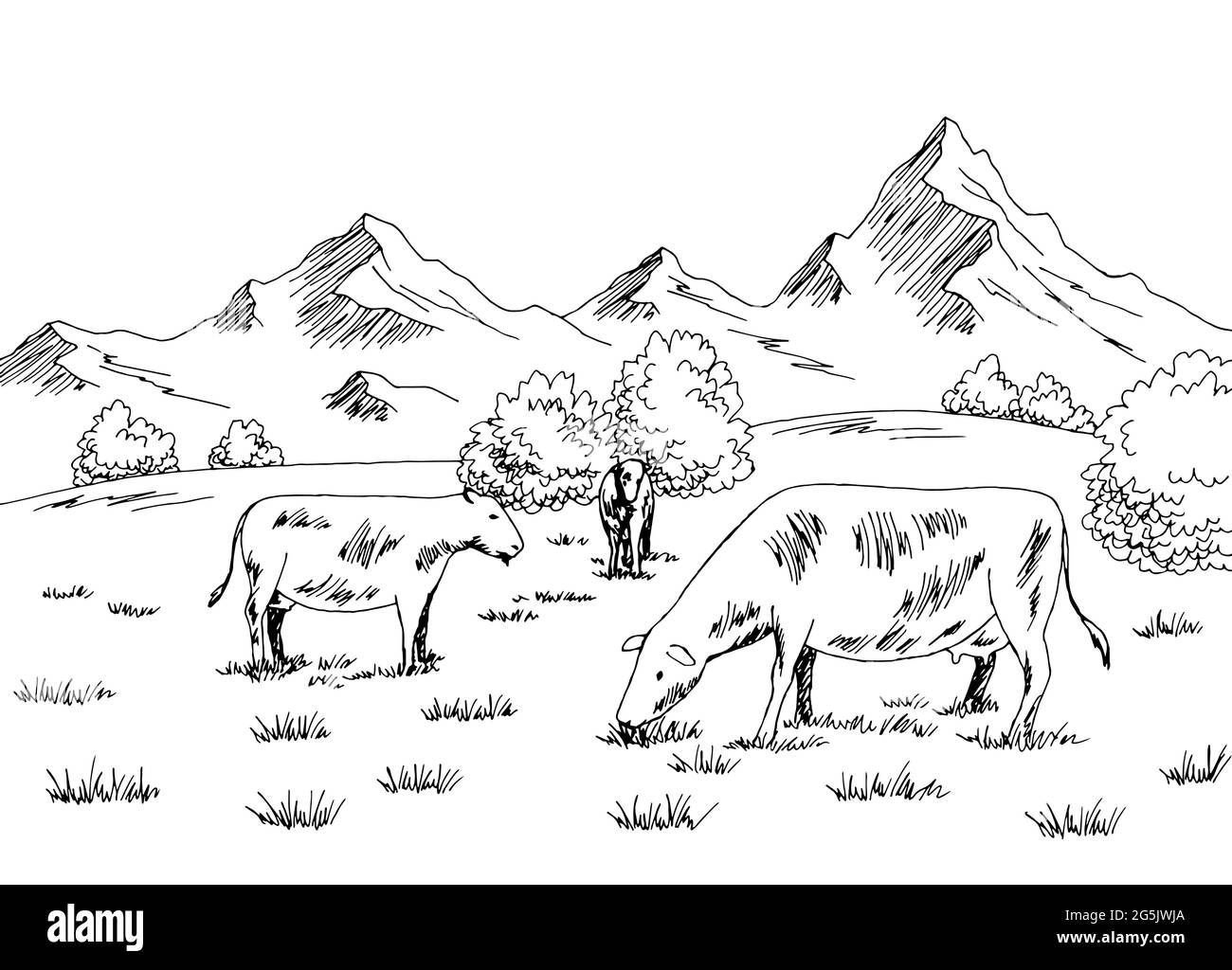 Mucche che nutrono erba sulla collina grafica nero bianco disegno vettore illustrazione Illustrazione Vettoriale